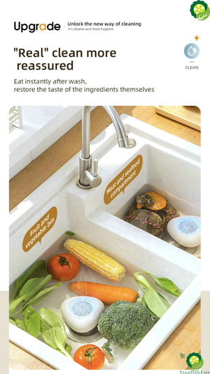 Portable Fruit and vegetable washing Device