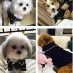 Luxury Clothes for Dog Fashion Dog Pajamas Pet Clothing for Small Medium Dogs Clothes Coat Yorkies Chihuahua Bulldogs Jacket