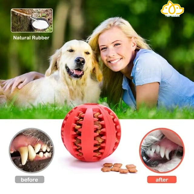 Pet Dog Toy Interactive Rubber Balls for Small Large Dogs Puppy Cat Chewing Toys Pet Tooth Cleaning Indestructible Dog Food Ball